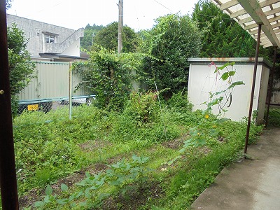 家庭菜園