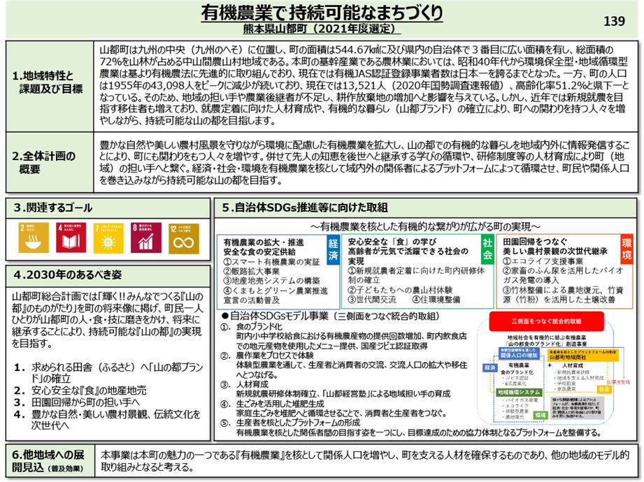 概要図（内閣府）