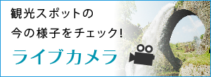 観光スポットの今の様子をチェック！ライブカメラ