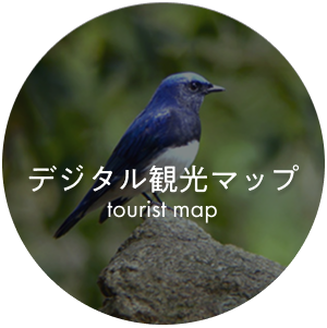 デジタル観光マップ