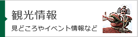 観光情報 見どころやイベント情報など