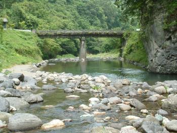 青葉の瀬風景