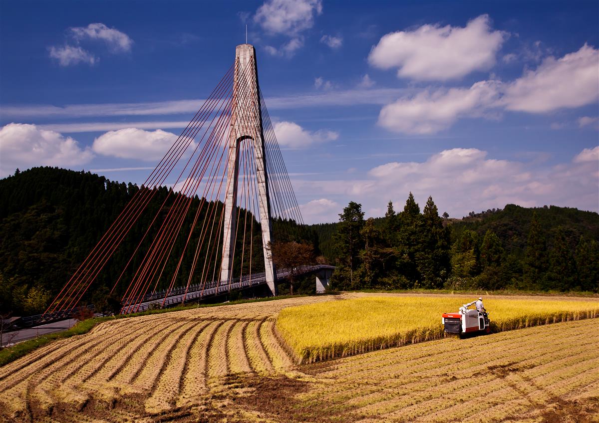 棚田と鮎の瀬大橋