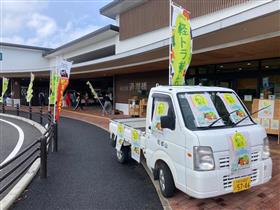 写真1