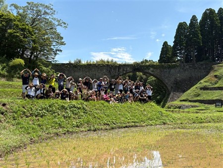 田植え5