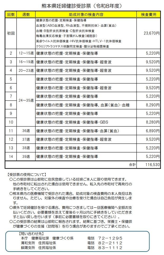 妊婦健康診査受診票