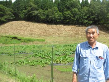 万次郎カボチャ 万次郎カボチャ