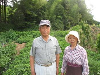 夫婦 夫婦