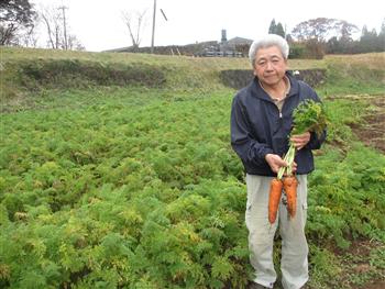 牧野ニンジン畑