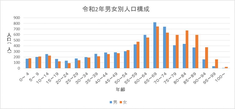 令和2年男女別人口構成