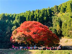 広報やまと12月号表紙写真