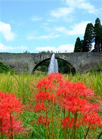 通潤橋と彼岸花