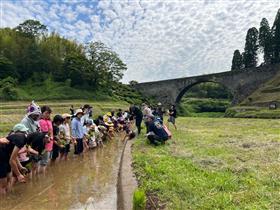 田植え2