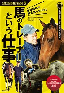 馬のトレーナーという仕事