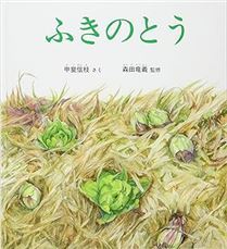 ふきのとう