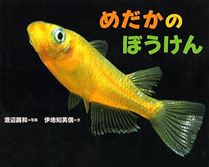 めだかのぼうけん
