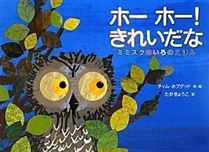 ホーホー!きれいだな ミミズクのいろのえほん