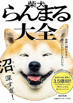 柴犬らんまる大全