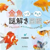 金魚いろ×かたち謎解き図鑑