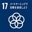 17　パートナーシップで目標を達成しよう