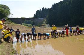 田植え