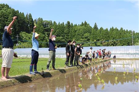 田植え1