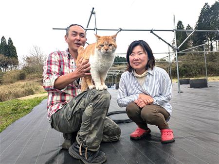 比嘉さん5